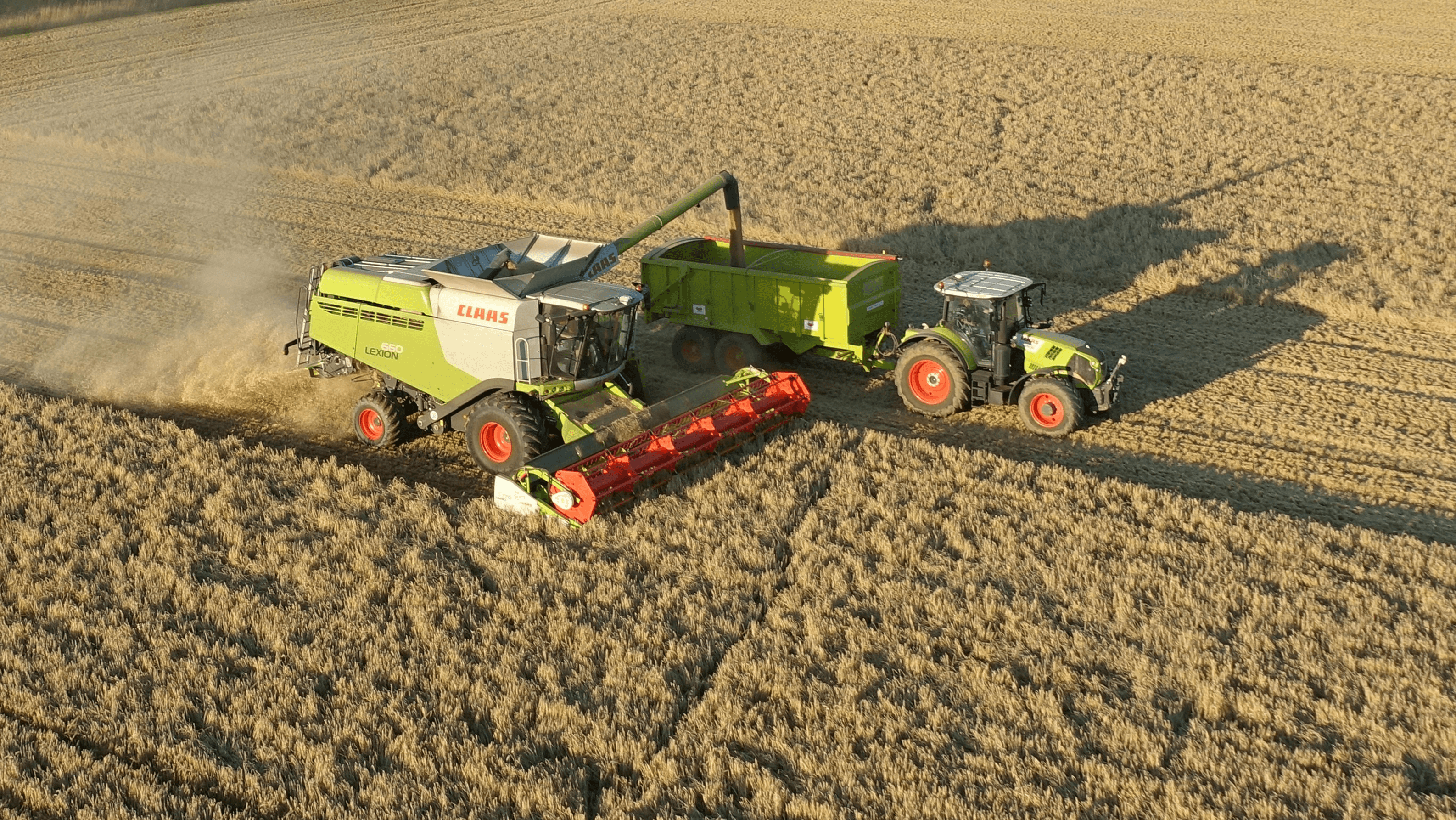 Grain Purchase and Market Insightsss