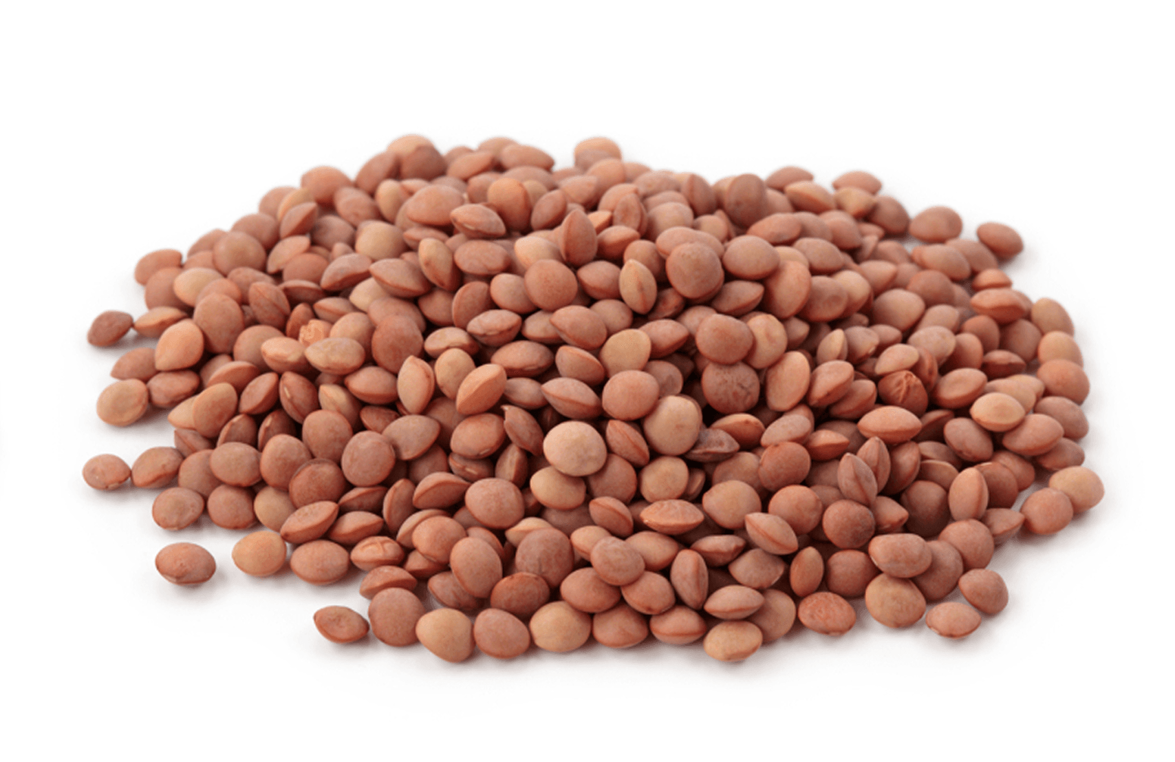 LENTILS